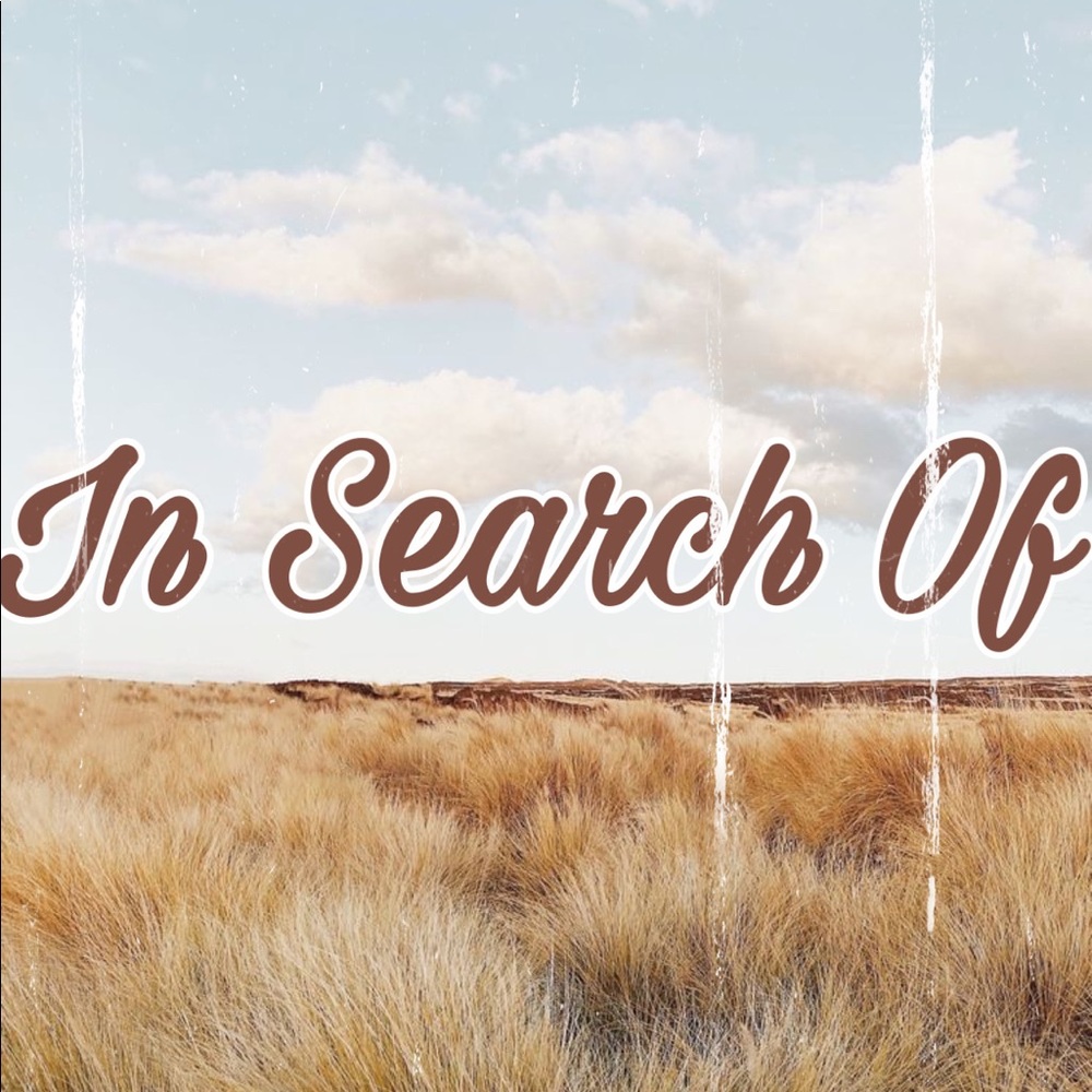 i n   s e a r c h   o f